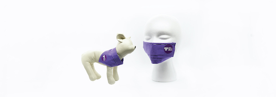 Set morado de cubrebocas y paliacate para perros