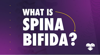 What is Spina Bifida