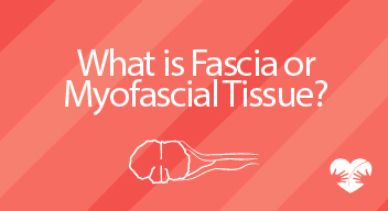 What is Fascia or Myofascial Tissue